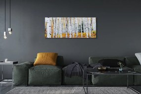 Zdjęcie na płótnie Jesienne Brzozy
