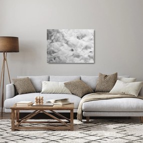 Obraz na szkle - Chmury piór (70x50 cm)