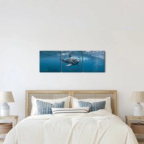 Obraz - Delfin pod wodą (z zegarem) (90x30 cm)