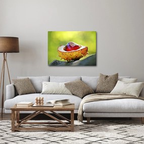 Obraz kasztanowów (70x50 cm)