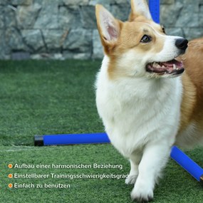 Agility słupki do slalomu stacjonata 4 x płotek do treningu niebieski pawhut
