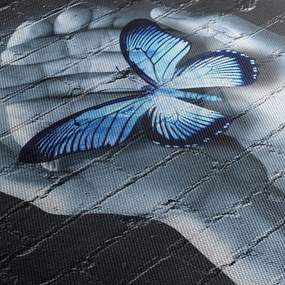 Obraz - Motyl na ścianie (70x50 cm)