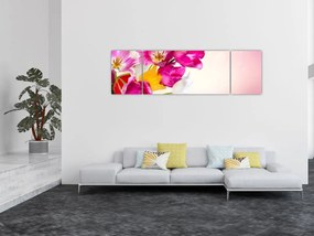 Obraz tulipanów (170x50 cm)