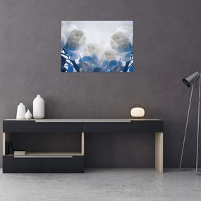Obraz - Białe róże (70x50 cm)