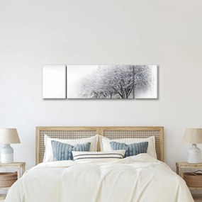 Obraz - Zimowa aleja (170x50 cm)