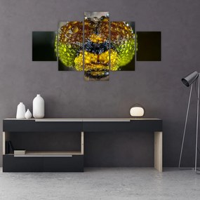 Szczegółowy obraz oczu owadów (125x70 cm)