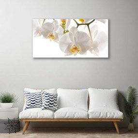 Obraz canvas na ścianę Egzotyczna Orchidea w Detalu