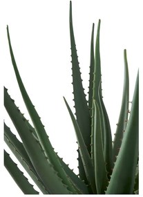Sztuczna roślina (wysokość 51 cm) Aloe Vera – House Nordic