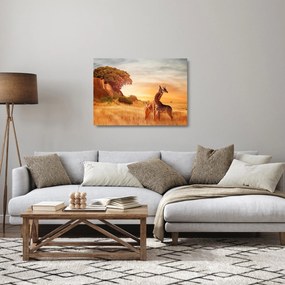 Obraz na szkle - Żyrafy w Afryce (70x50 cm)
