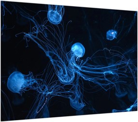 Obraz - Meduza (70x50 cm)