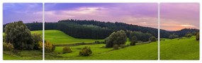 Obraz łąki (170x50 cm)