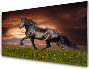 Panel Szklany do Kuchni Szlachetny Czarny Koń