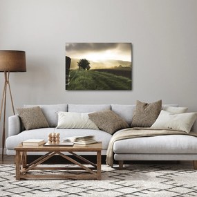 Obraz łąki (70x50 cm)