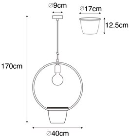 Nowoczesna lampa wisząca czarna ze szklanym okrągłym - Roslini Nowoczesny Oswietlenie wewnetrzne