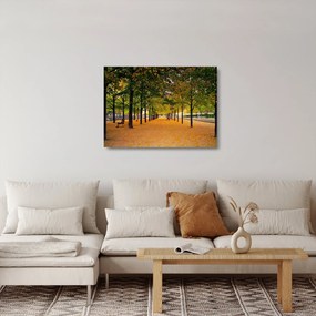 Obraz na szkle - aleja jesiennych drzew (70x50 cm)