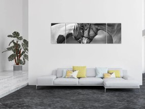 Obraz - Zakochane konie, czarno - biały (170x50 cm)