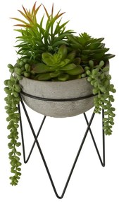Sztuczny sukulent (wysokość 36 cm) Fiori – Premier Housewares