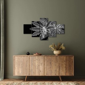 Obraz - Krople (125x70 cm)