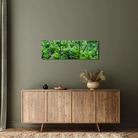 Obraz sukulentów (z zegarem) (90x30 cm)