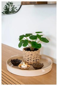 Sztuczna roślina (wysokość 28 cm) Pelia – House Nordic