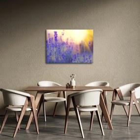 Obraz - Lawenda (70x50 cm)