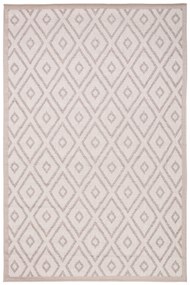 Dywan Flora 521/D9TW 067x120 Prostokąt