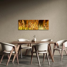 Obraz - Szczegół rosy (z zegarem) (90x30 cm)