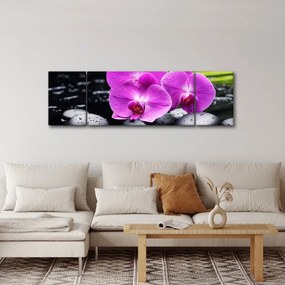Obraz - Storczyki (170x50 cm)
