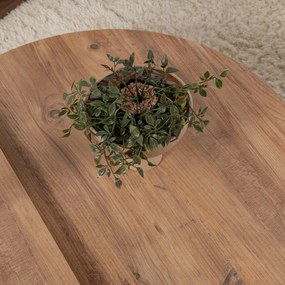 Stolik kawowy Orion Atlantic Pine