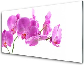 Panel Kuchenny Ogród Kwiatowy W Pełni Lata