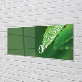 Szklany Panel Poranny Detal na Liściu