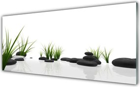 Panel Szklany do Kuchni Kamienie W Soczystej Trawie