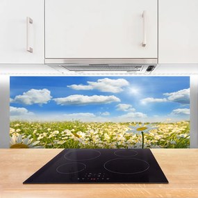 Panel Szklany Łąka Stokrotki Natura