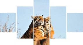 Obraz - Tygrysica i jej młode (125x70 cm)