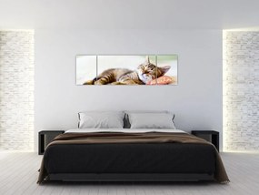 Obraz - Śpiący kotek (170x50 cm)