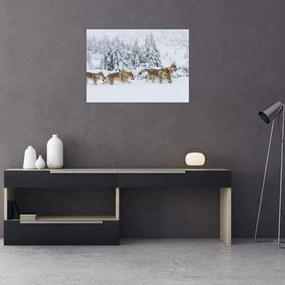Obraz - Wilki w górach (70x50 cm)