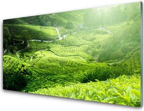 Panel Kuchenny Zieleń Naturalnej Łąki