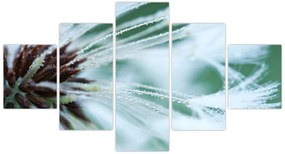 Obraz - Detal kwiatu (125x70 cm)