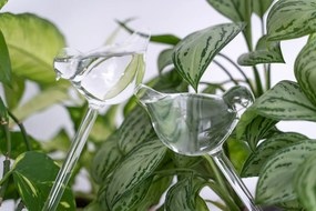 Szklany nawadniacz do podlewania roślin PTAK - 2 sztuki w komplecie