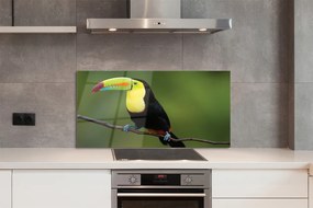 Panel szklany do Kuchni Egzotyczny Ptak na Gałęzi