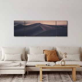 Obraz - Wydmy piaskowe (170x50 cm)