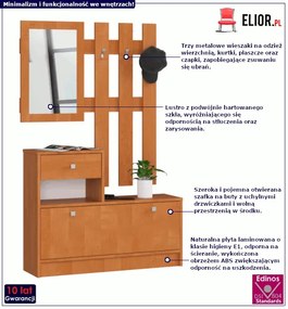 Zestaw mebli do przedpokoju w kolorze olchy F5-L21