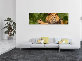 Obraz lwów (170x50 cm)