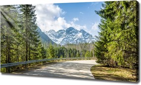 Foto obraz canvas Droga Tatry
