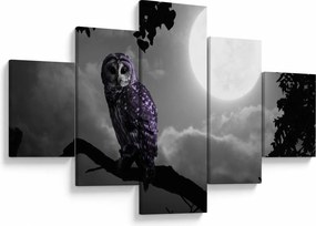 Obraz - Nocna sowa, fioletowa sowa (125x70 cm)
