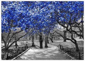 Obraz na szkle - Niebieskie drzewa, Central Park, New York (70x50 cm)