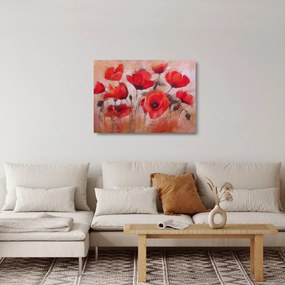 Obraz na szkle - Wilcze maki (70x50 cm)