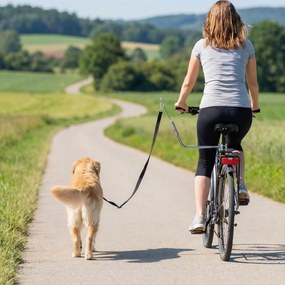PawHut Smycz rowerowa dla psa z amortyzacją, regulowana, szybki montaż, srebrno-czarna | Aosom PL