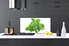 Panel Szklany Świeżość Liści Mięty