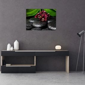 Obraz - Kamienie lawy (70x50 cm)